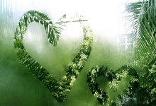 天涯社区海口分享会火热进行